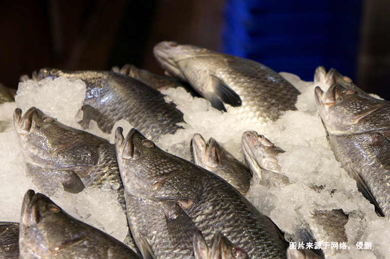 巴布亞新幾內(nèi)亞到廣州鱸魚進(jìn)口報(bào)關(guān)流程冷凍魚案例